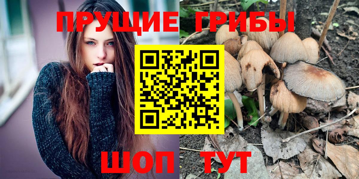Москва  Галлюциногенные грибы Psilocybine cubensis  Галлюциногенные грибы Magic Shrooms  Вход с VPN 